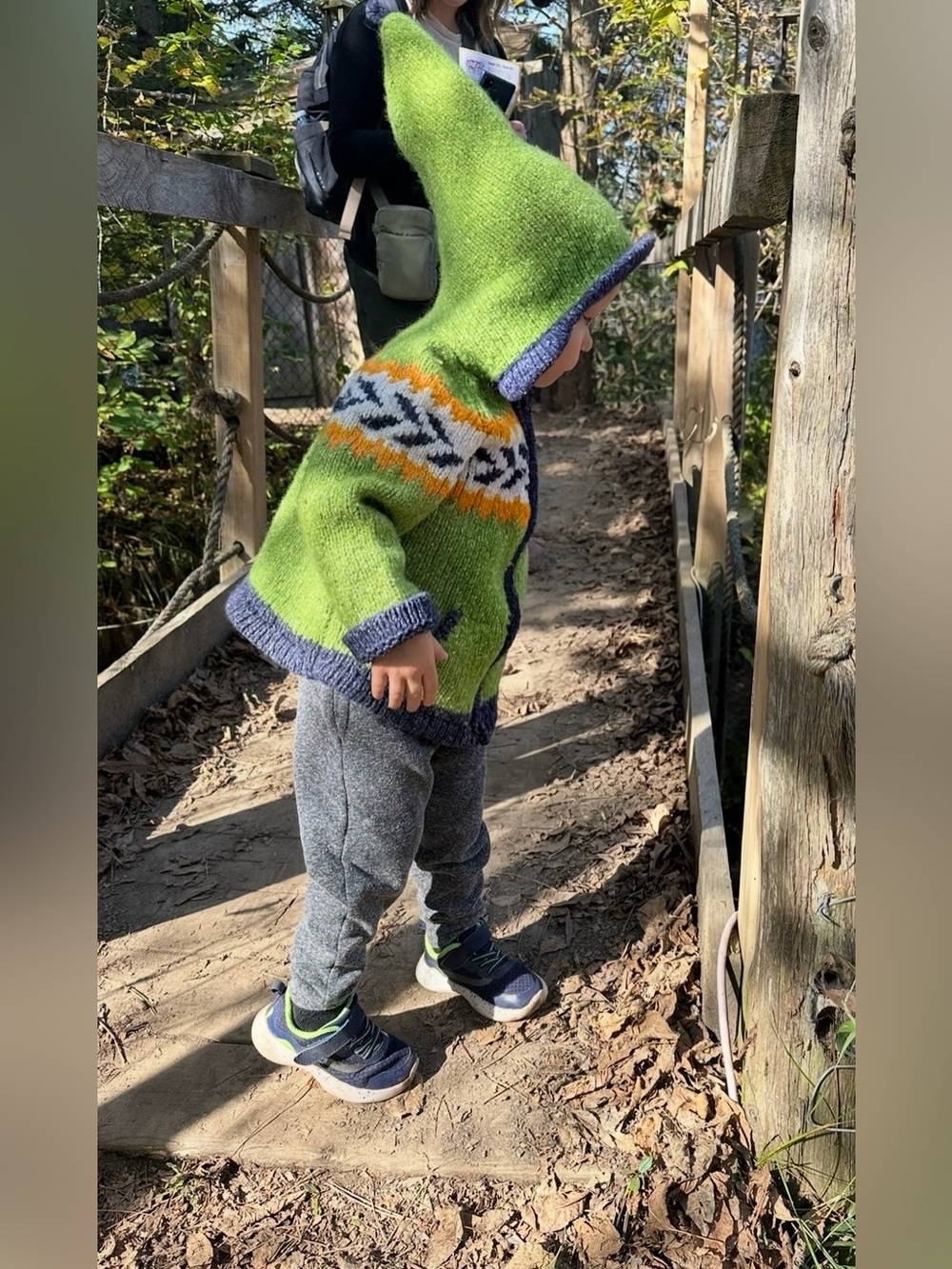 Toddler Green Hooded Wool Sweater with Nordic Pattern